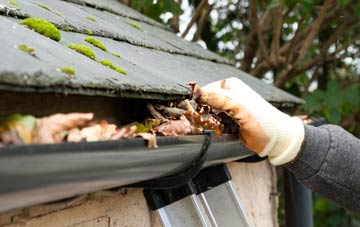 gutter cleaning Hale Coombe, Somerset